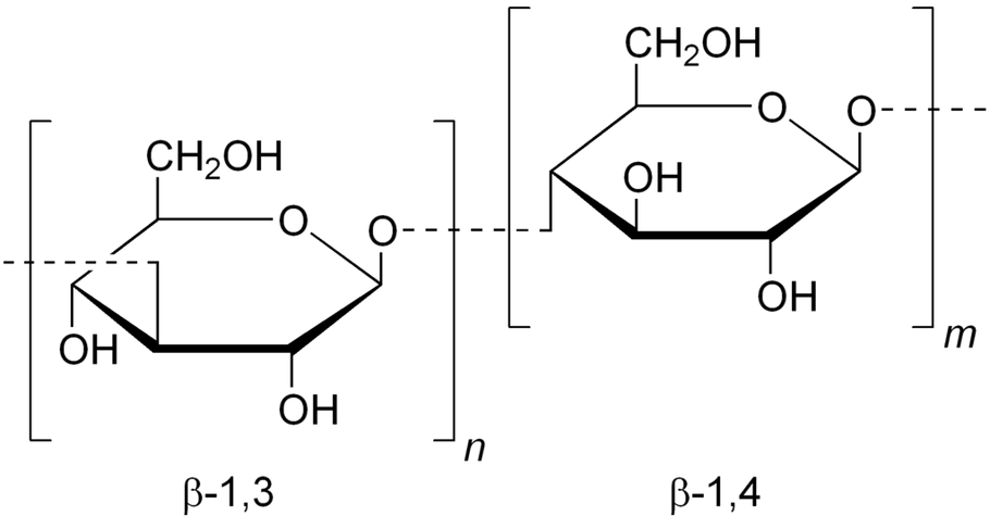 Fungi Parts and Medicinal Quality – Not Just Semantics