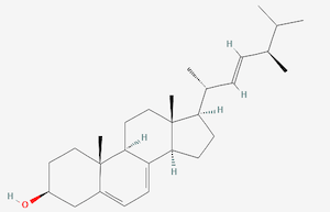 Ergosterol: Therapeutic Constituents in Mushroom Medicine, Part 3