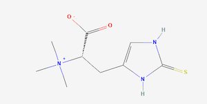 Ergothioneine: Therapeutic Constituents in Medicinal Mushrooms, part 4