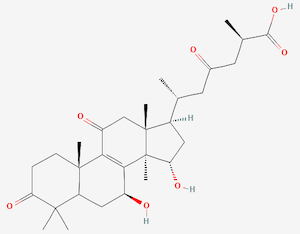Terpenes: Therapeutic Constituents in Medicinal Mushrooms, Part 2