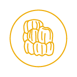 Lion's mane icon