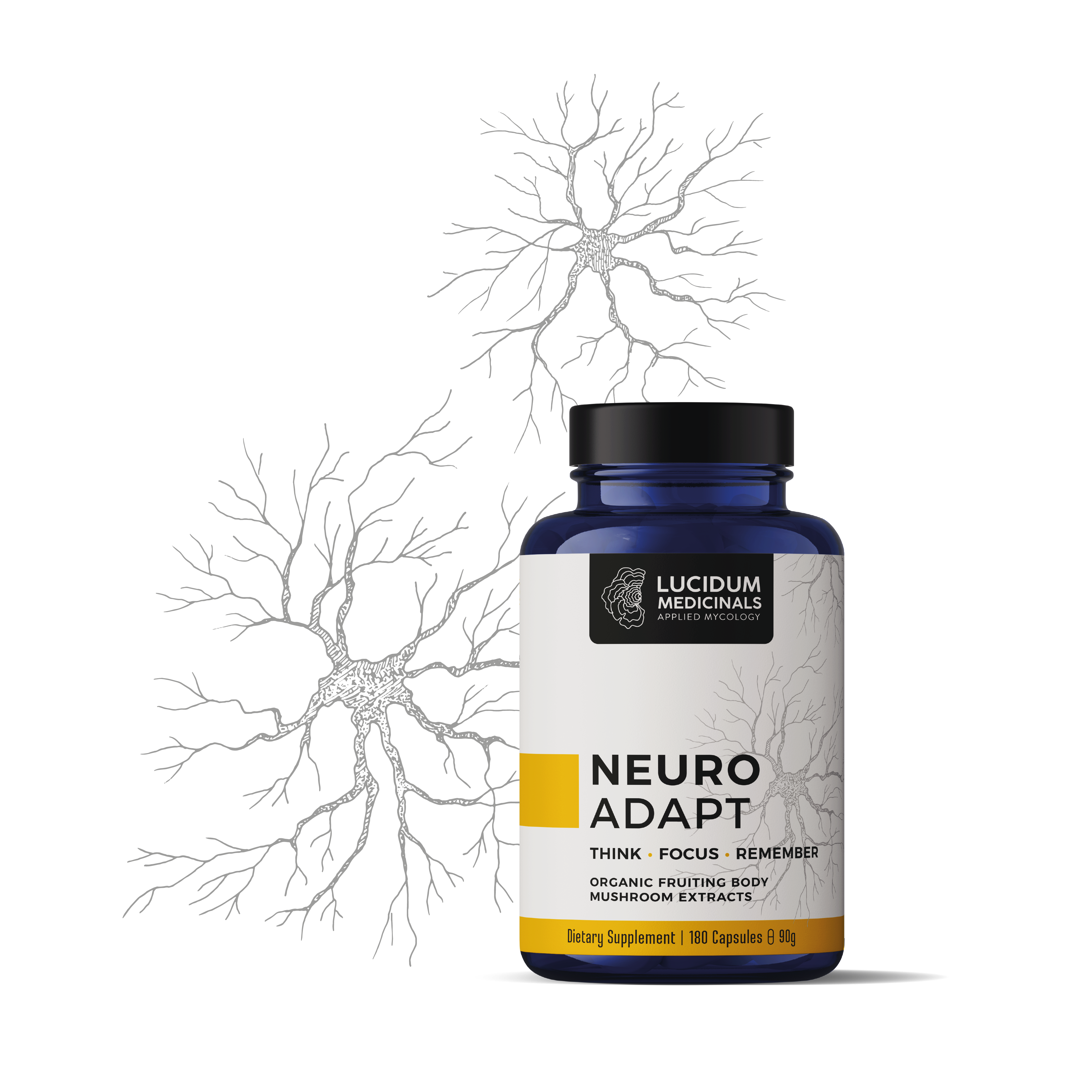 BRAIN & NERVES formula mockup