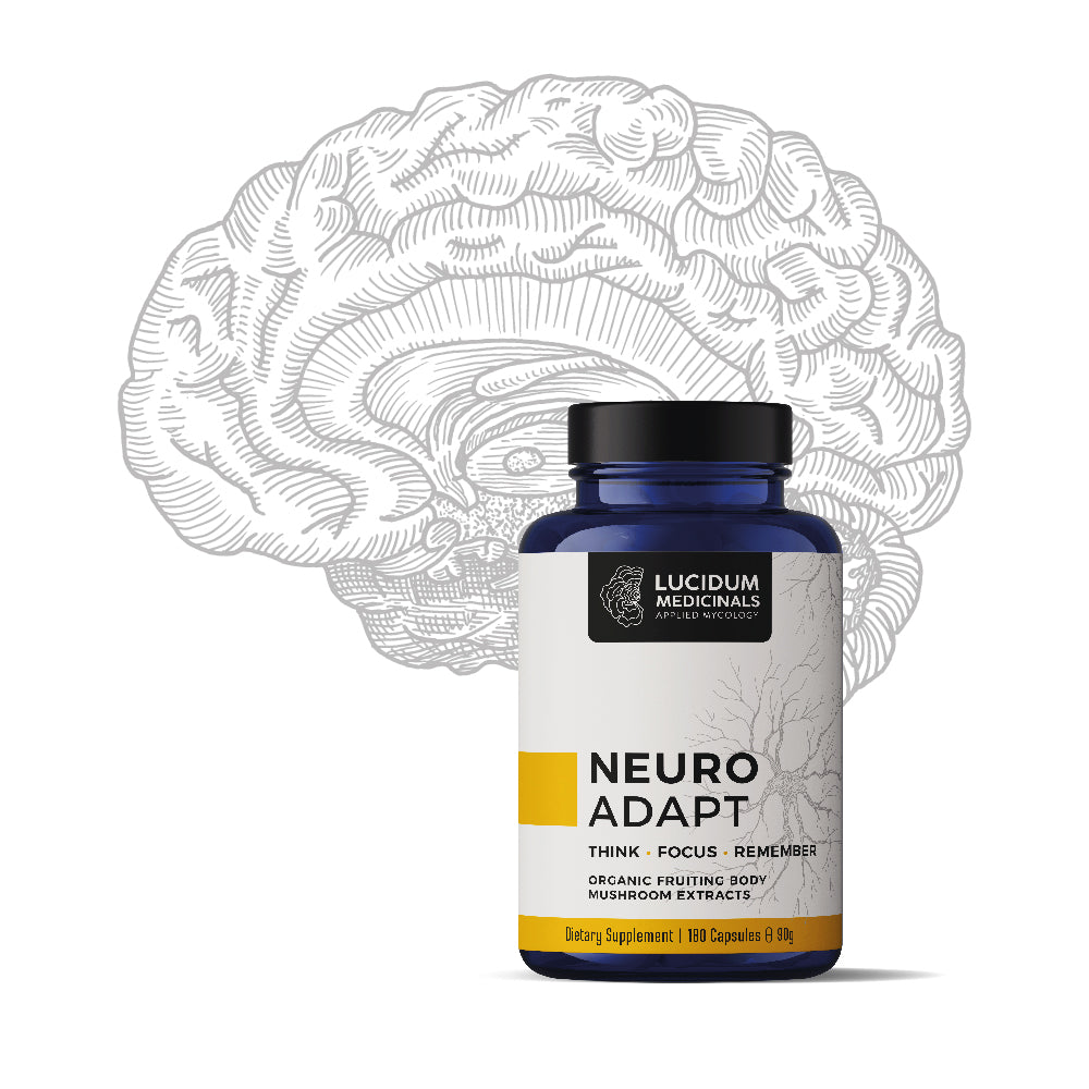 Lucidum Medicinals BRAIN & NERVES mushroom formula mock-up