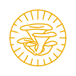 Oyster mushroom icon