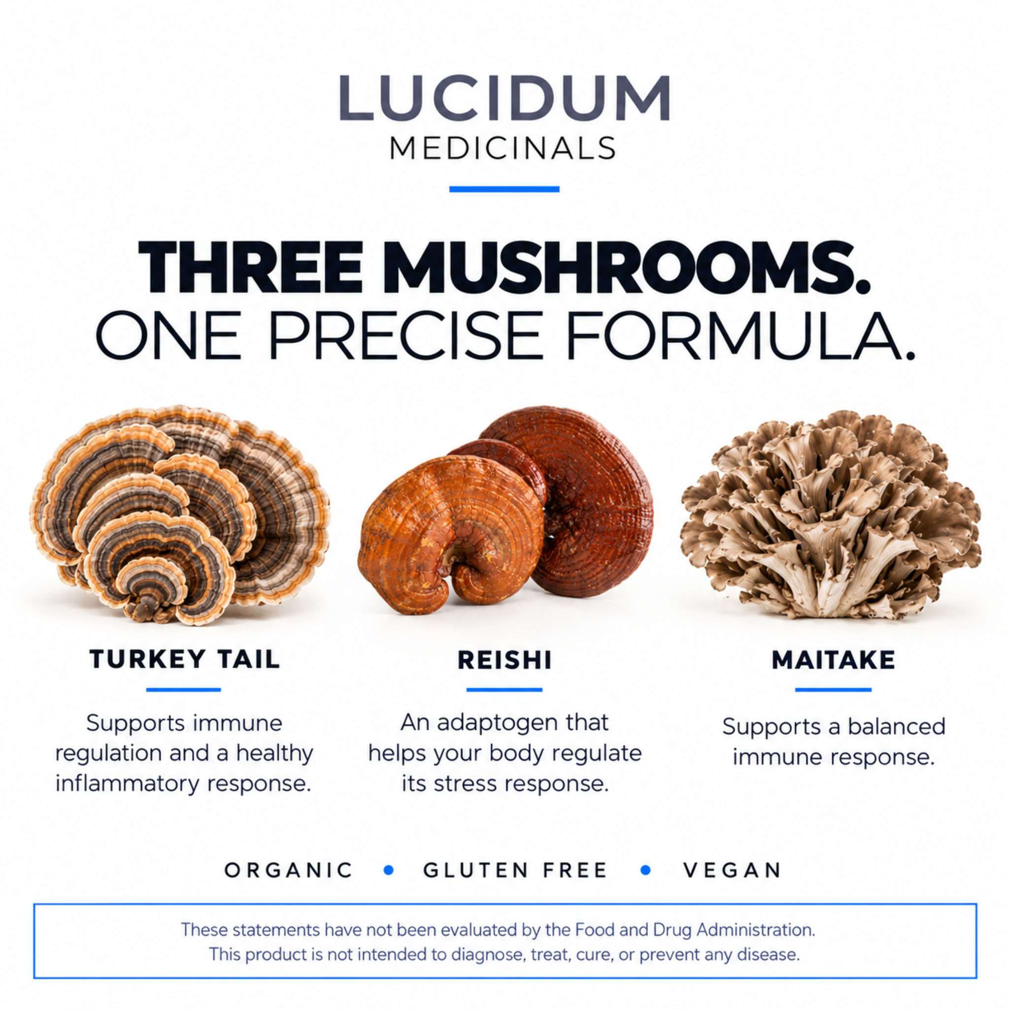 The three mushrooms in IMMUNE: turkey tail, reishi, and maitake