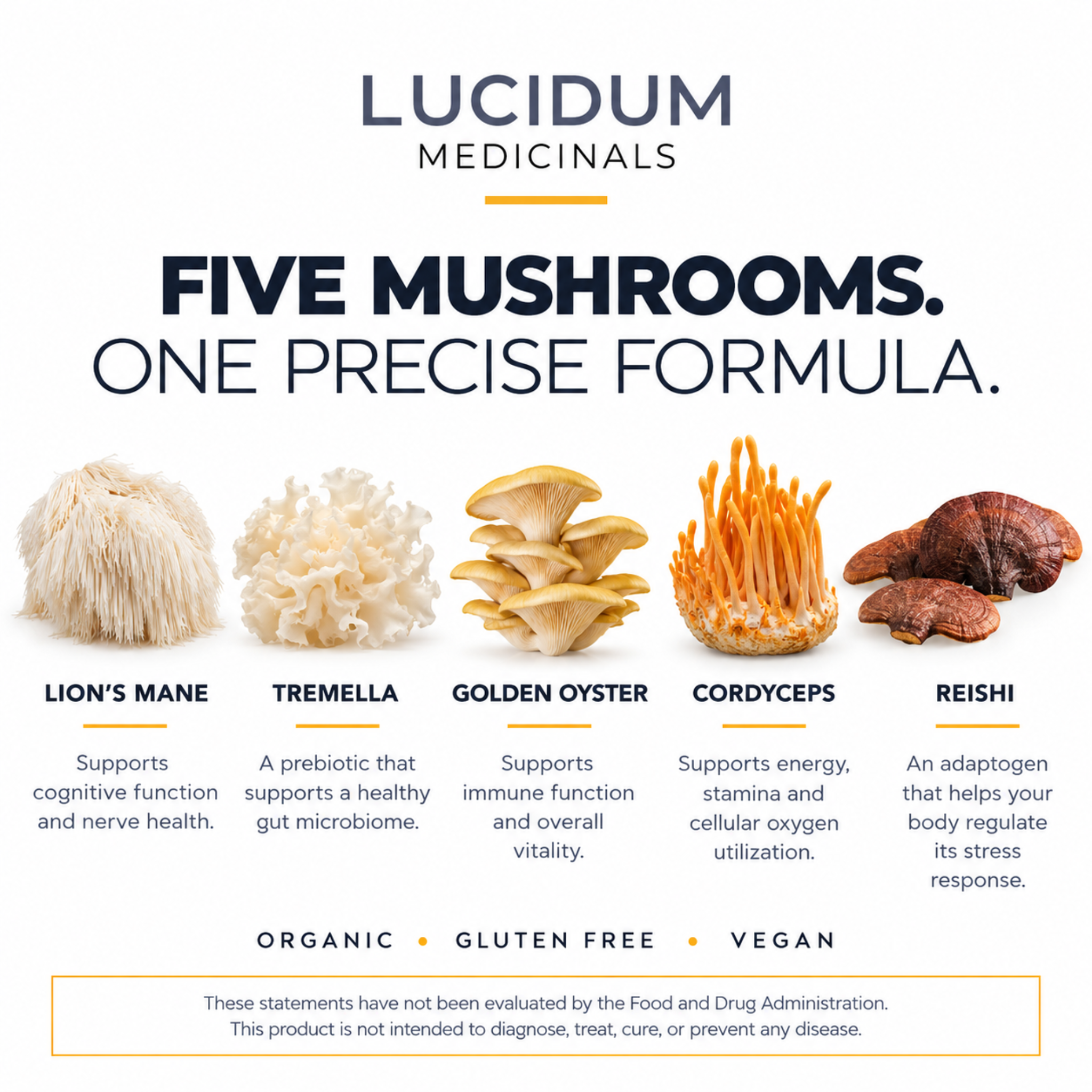 The five mushrooms in NEUROADAPT: lion's mane, tremella, golden oyster, cordyceps, and reishi