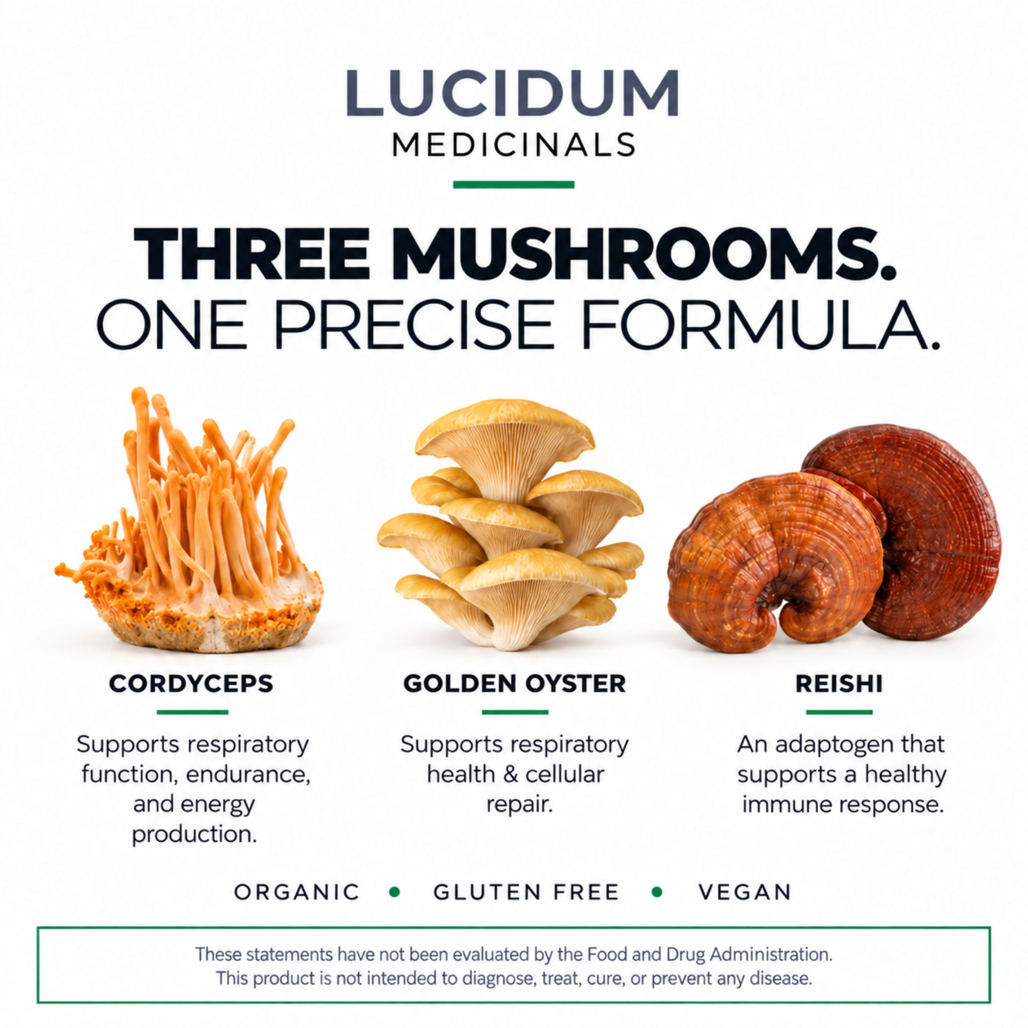 The three mushrooms in RESPIRE: cordyceps, golden oyster, and reishi