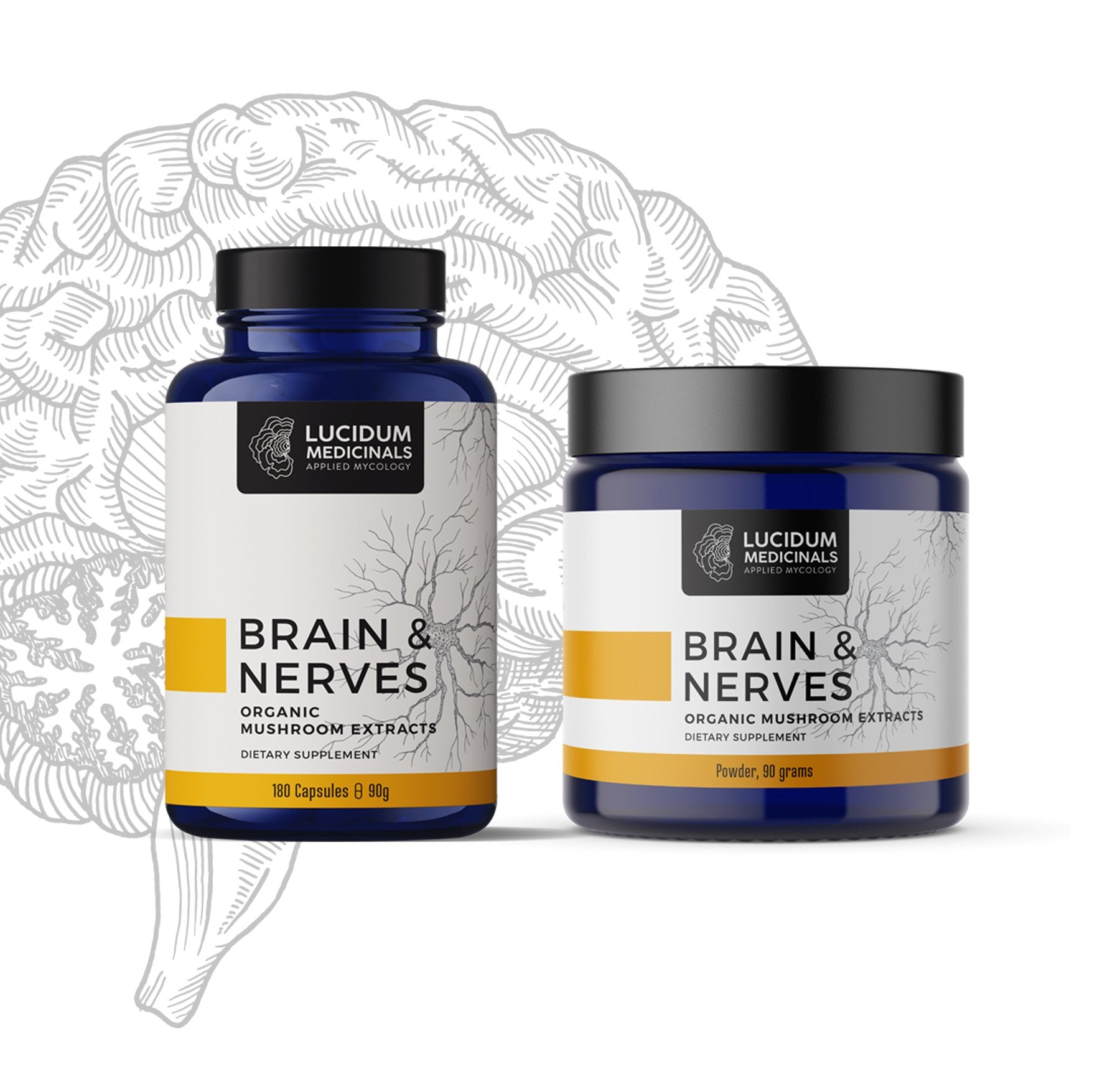 BRAIN & NERVES formula mockup