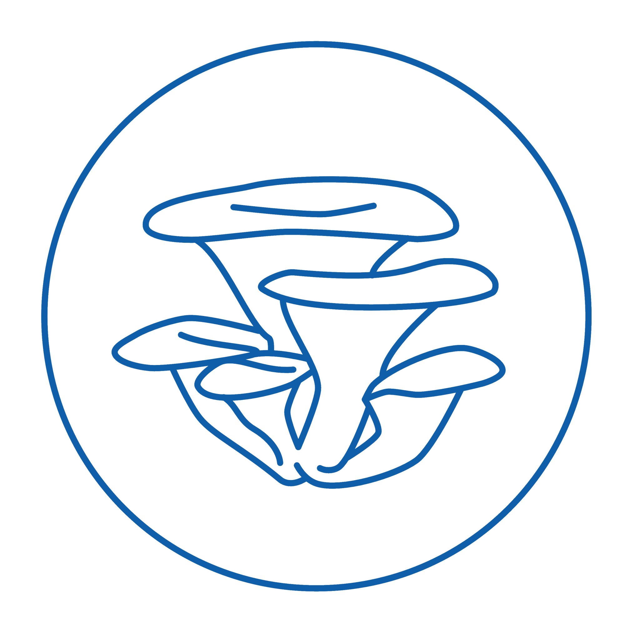 Oyster mushroom icon