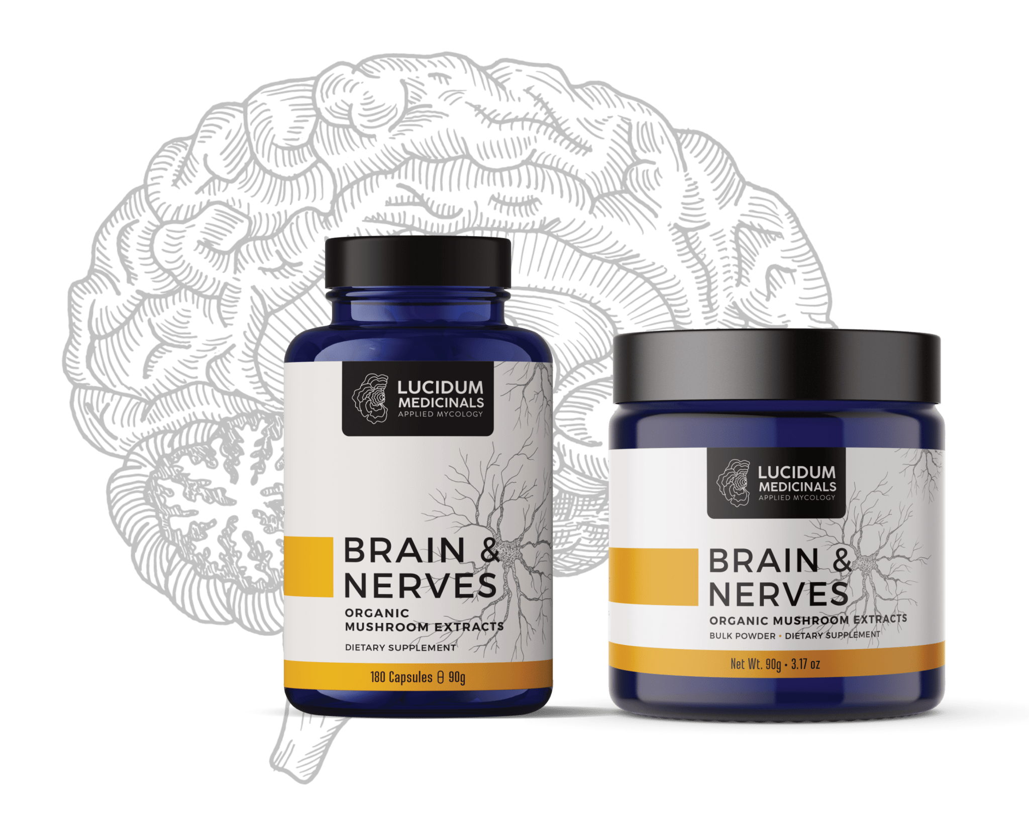 BRAIN & NERVES formula mockup